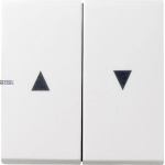 Gira 029403 &mdash; Rocker System 55 2-Gang koos Arrow Symbol, Pure White Glossy