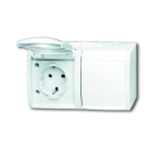 Busch-Jaeger 2CKA002084A0711 &mdash; 20/2 EW-54 Design Ocean