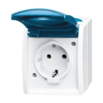 Busch-Jaeger 2CKA002083A0817 &mdash; 20 EW-53 Design Ocean