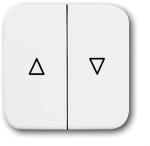 Busch-Jaeger 2CKA001713A0163 &mdash; 2504-214 CoverPlates (partly incl. Insert) carat&reg; Alpine white