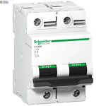 Schneider Electric A9N18363 &mdash; Miniature Circuit Breaker Acti9 C120, 2P, 125 A, C Curve