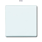 Busch-Jaeger 2CKA001731A3991 &mdash; 2106-34-500 katted (partly incl. Insert) Switch/push button Two-part rocker ilma imprint alpine white - Allwetter 44 (IP 44)