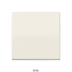 Jung AS591 &mdash; Rocker AS, Rocker 1-Gang, Ivory, 55 mm x 55 mm, Duroplastic