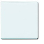 Busch-Jaeger 2CKA001731A1593 &mdash; 2106-34 CoverPlates (partly incl. Insert) carat&reg; Alpine white