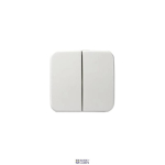 Busch-Jaeger 2TKA000772G1 &mdash; 2505-212 Switch rocker