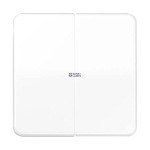 Jung CD595WW &mdash; Rocker CD, 2-Gang, White, 67 mm x 67 mm, Duroplastic