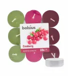 Bolsius tea candle 18 pcs Scented Tealights Cranberry 4h
