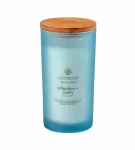 Chesapeake Bay Reflection + Clarity 355 ml