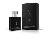Magnetifico Power Of Pheromones Pheromone Revolution perfume for men 50 ml