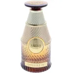 Anfar Odyssee IV Parfum 100 ml