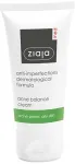 Ziaja Antibacterial Treatment Anti-Acne Cream - Day Cream 50 ml