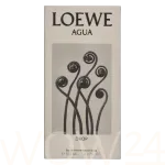 Loewe Loewe Agua Drop Edp Spray Eau De Parfum 100 ml