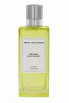 Angel schlesser Ginger Cologne Eau De Toilette 100 ml
