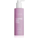 ICONIQUE Professional Conditioner for dry and damaged hair Caring Like You (Deep Hydration Conditioner) 250 ml