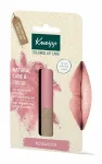 Kneipp Rosewood Colored Lip Care 4.7 ml