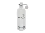 Montale Vanilla Extasy Eau De Parfum 100 ml Tester