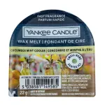 Yankee Candle Cucumber Mint Cooler 22 ml