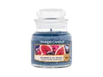 Yankee Candle Mulberry & Fig Delight 104 ml