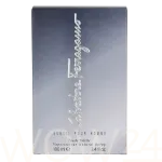 Ferragamo Subtil Pour Homme Eau De Toilette 100 ml