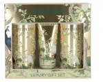 Vivian Gray Birds of Paradise Set - D&aacute;rkov&aacute; sada