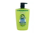 Garnier Fructis Strength & Shine Fortifying Shampoo 1000 ml