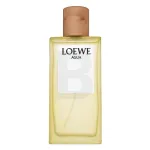 Loewe Agua de Loewe Eau De Toilette 100 ml