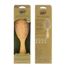 Wet brush Go green treatment & shine brush Juuksehari