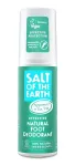 Salt of the earth Deo spray for feet (Natural Foot Deodorant) 100 ml