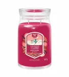 Yankee Candle Santa On Skis L&otilde;hnak&uuml;&uuml;nal 567 ml