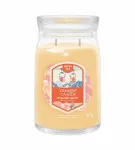 Yankee Candle Slopeside Spritz L&otilde;hnak&uuml;&uuml;nal 567 ml