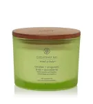 Chesapeake Bay Awaken + Invigorate 312 ml