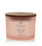 Chesapeake Bay Stillness + Purity 312 ml