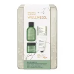 Baylis & Harding Wellness Tin Of Treats (Ginger, Lime & Basil) - Gift Komplekt