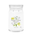 Yankee Candle Signature Midnight Jasmine 567 ml