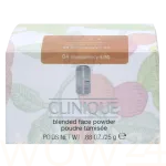 Clinique Blended Face Powder Puuder 25 ml