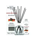 Maison Berger Paris Gift set aroma diffuser Cube + Woodland Fairy refill 100 ml