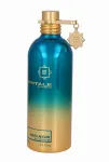 Montale Aoud Lagoon Eau De Parfum 100 ml