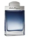 Ferragamo Subtil Pour Homme Eau De Toilette 100 ml