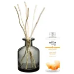 Maison Berger Paris Gift set Aroma Energy diffuser gray + Sparkling Zest refill 180 ml