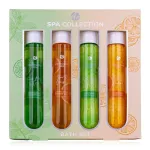 Accentra SPA COLLECTION bath set in gift box (zkumavky) incl. 2 x 60 ml shower gel, 2 x 80 g bath salt, 2 scents/colors: citrus and orange, mint and lime, VE 6/12 60 ml