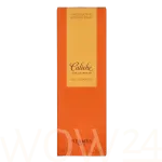 Hermes Caleche Eau De Parfum 100 ml