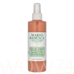Mario Badescu Mario Badescu Facial Spray N&auml;osprei 236 ml