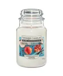 Yankee Candle Pomegranate Coconut