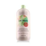 Inebrya Ice Cream Energy Shampoo 1000 ml