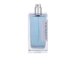 Gianfranco Ferr&eacute; Fougere Italiano Eau De Toilette 100 ml Tester