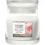 Yankee Candle Signature scented candle glass small White Spruce & Grapefruit