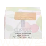 Clinique Blended Face Powder Puuder 25 ml