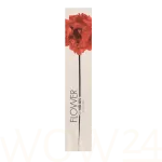 KENZO Flower By Kenzo L'Absolue Eau De Parfum 100 ml