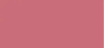 Dior Backstage Rosy Glow Stick 012 Rosewood