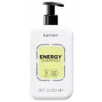 Kemon Energy Treatment 1000 ml